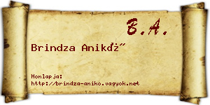 Brindza Anikó névjegykártya