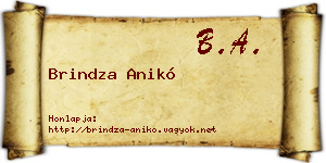Brindza Anikó névjegykártya